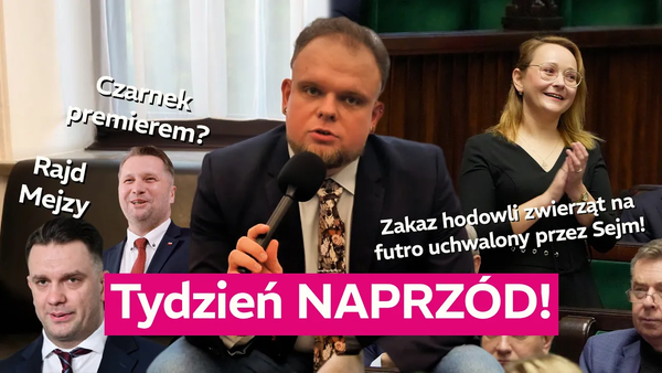 Tydzień Naprzód! #2